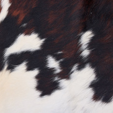 Cowhide Rug DEC25-067 (240cm x 210cm)