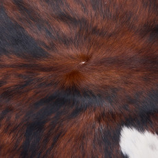 Cowhide Rug DEC25-079 (230cm x 220cm)