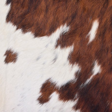 Cowhide Rug DEC25-080 (200cm x 190cm)
