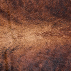 Cowhide Rug DEC25-090 (230cm x 200cm)