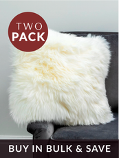 TWO Small White Sheepskin Cushions - DEAL