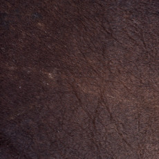 Cowhide Rug FEB26-003 (220cm x 180cm)