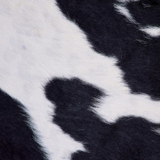 Cowhide Rug FEB26-007 (220cm x 170cm)