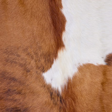Cowhide Rug FEB26-010 (220cm x 200cm)