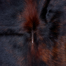Cowhide Rug FEB26-012 (210cm x 240cm)