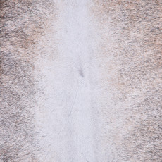 Cowhide Rug FEB26-014 (220cm x 210cm)