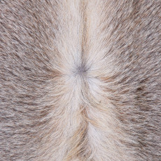 Cowhide Rug FEB26-016 (230cm x 200cm)