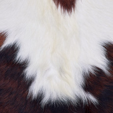 Cowhide Rug FEB26-022 (220cm x 200cm)