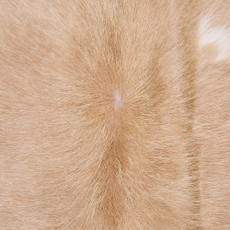 Cowhide Rug FEB26-028 (240cm x 210cm)