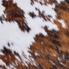 Cowhide Rug FEB26-030 (210cm x 180cm)