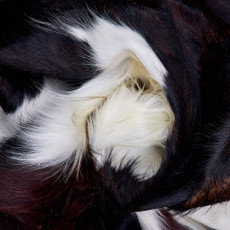 Cowhide Rug FEB26-035 (210cm x 200cm)