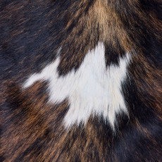 Cowhide Rug FEB26-036 (210cm x 180cm)