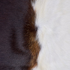 Cowhide Rug FEB26-038 (210cm x 170cm)