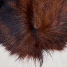 Cowhide Rug FEB26-045 (230cm x 210cm)