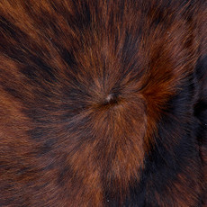 Cowhide Rug FEB26-058 (220cm x 200cm)
