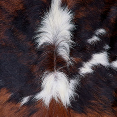 Cowhide Rug FEB26-068 (180cm x 190cm)