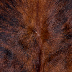 Cowhide Rug FEB26-071 (210cm x 190cm)