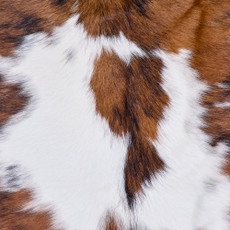 Cowhide Rug FEB26-073 (200cm x 190cm)