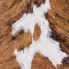 Cowhide Rug FEB26-073 (200cm x 190cm)