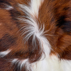 Cowhide Rug FEB26-076 (200cm x 180cm)