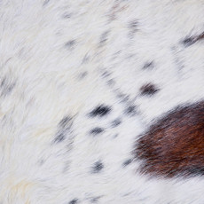 Cowhide Rug FEB26-082 (190cm x 220cm)