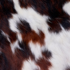 Cowhide Rug FEB26-084 (200cm x 190cm)