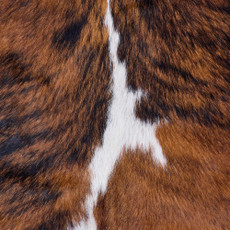 Cowhide Rug FEB26-086 (220cm x 190cm)