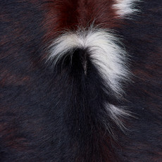 Cowhide Rug FEB26-087 (200cm x 180cm)