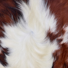 Cowhide Rug FEB26-096 (180cm x 150cm)