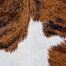 Cowhide Rug FEB26-098 (210cm x 200cm)