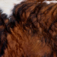 Cowhide Rug FEB26-100 (220cm x 200cm)