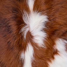 Cowhide Rug FEB26-105 (220cm x 210cm)