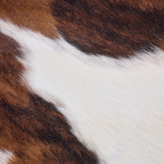 Cowhide Rug FEB26-108 (200cm x 190cm)