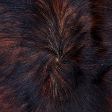 Cowhide Rug FEB26-116 (230cm x 210cm)