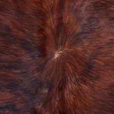 Cowhide Rug FEB26-120 (220cm x 210cm)