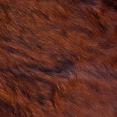 Cowhide Rug FEB26-120 (220cm x 210cm)