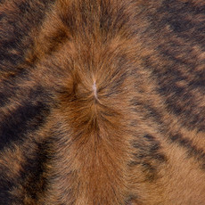 Cowhide Rug FEB26-121 (210cm x 180cm)