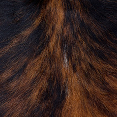 Cowhide Rug FEB26-130 (220cm x 170cm)