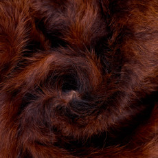 Cowhide Rug FEB26-134 (190cm x 170cm)