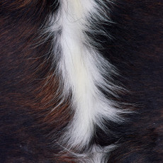 Cowhide Rug FEB26-138 (200cm x 190cm)