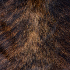 Cowhide Rug FEB26-138 (200cm x 190cm)