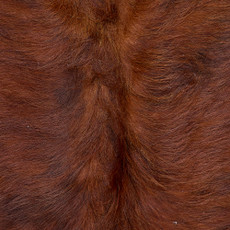 Cowhide Rug FEB26-144 (200cm x 180cm)