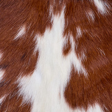 Cowhide Rug FEB26-145 (190cm x 170cm)