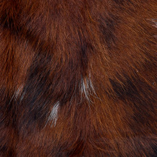 Cowhide Rug FEB26-146 (200cm x 190cm)