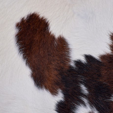 Cowhide Rug FEB26-146 (200cm x 190cm)