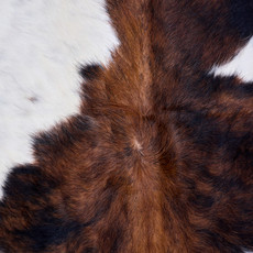 Cowhide Rug AUG26-007 (200cm x 180cm)