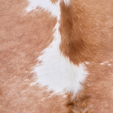 Cowhide Rug AUG26-018 (230cm x 220cm)