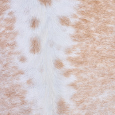 Cowhide Rug AUG26-019 (240cm x 225cm)
