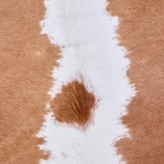 Cowhide Rug AUG26-023 (220cm x 200cm)