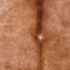 Cowhide Rug AUG26-024 (250cm x 220cm)